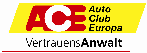 Logo_Iborg & Partner